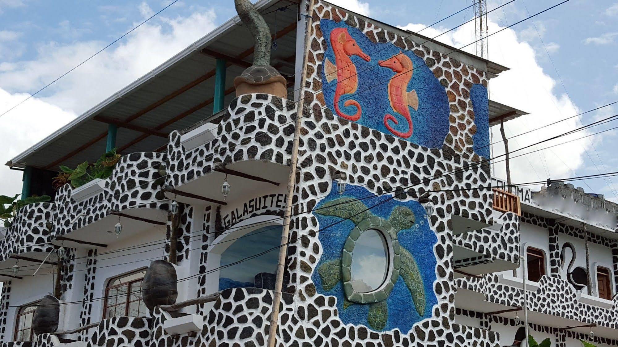 Hotel Coloma Galapagos Puerto Ayora  Eksteriør billede